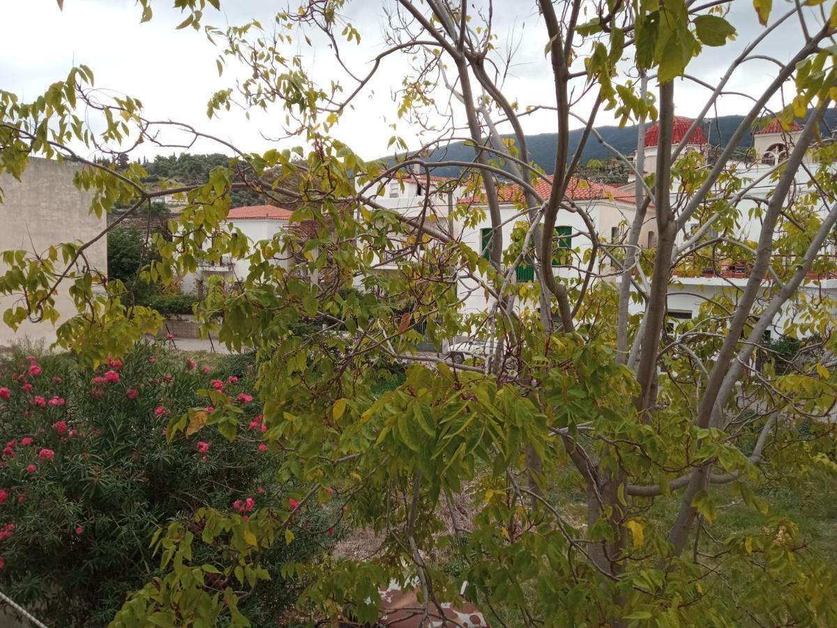 Bissias Guest House Galatás Buitenkant foto